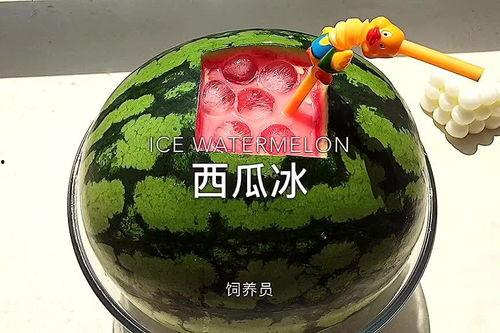 这样吃瓜最过瘾,这样吃瓜最过瘾！